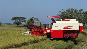 Lovol Rice Combine Harvester-Small Tank with Two Hoppers