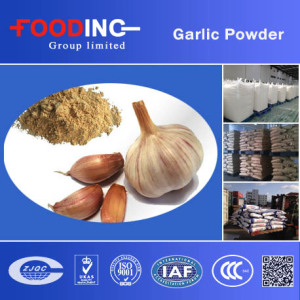 China Supplier Low Price Bulk Health Food Additives Dried Spices Garlic Powder